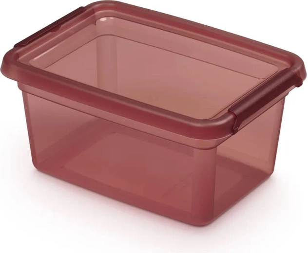 Basestore pojemnik na żywność z pokrywką i klipsami Rhubarb 1,5 l