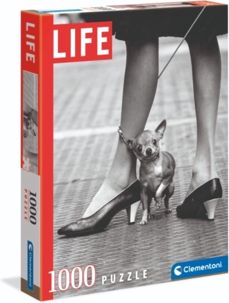 Puzzle Clementoni Life Chihuahua 1000 elementów – Chihuahua