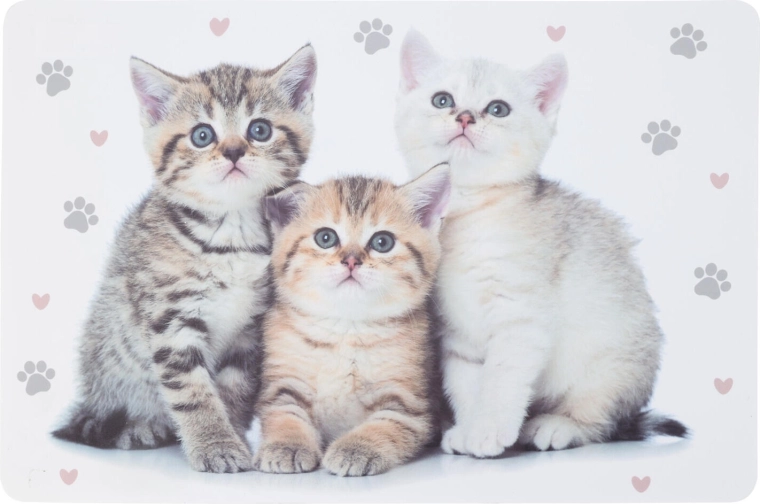 Plastowa dziecięca podkładka ze zwierzętami 43,5 × 28,5 cm