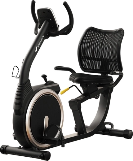 Rower poziomy Merach MR-S19