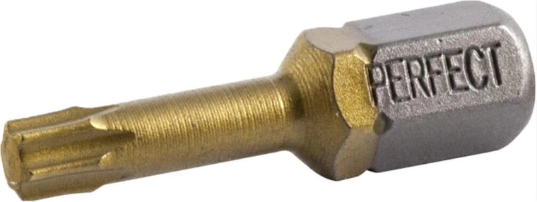 Bit nasadka TORX T20 25 mm STALCO, zestaw 2 szt.