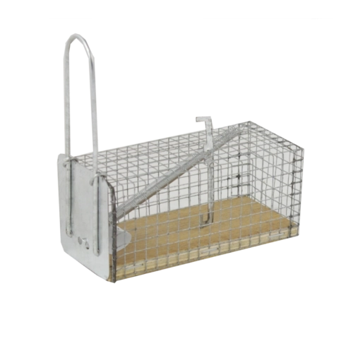 Żywołowna pułapka na myszy i szczury 11 × 5,5 × 5,5 cm