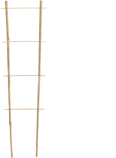 Bambusowa podpora ogrodowa 90 × 35 cm, średnica 10/12 mm