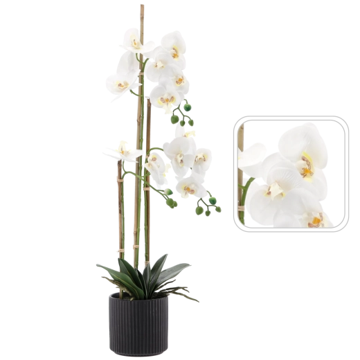 Sztuczna biała orchidea 77 cm w czarnej doniczce