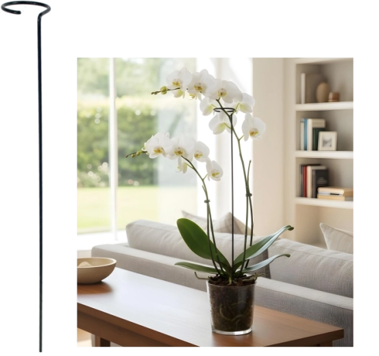 Prosta podpora do roślin 60 cm