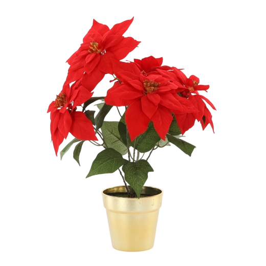 Sztuczna gwiazda betlejemska w złotej doniczce, 49 cm