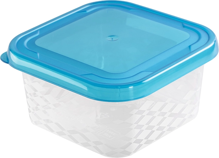 Kwadratowy pojemnik na żywność Blue Box 0,45 l
