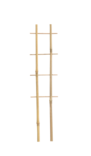 Bambusowa podwójna podpórka do roślin 37 cm
