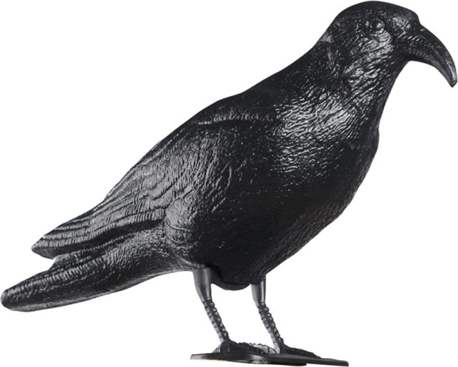 Plastowy odstraszacz gołębi kruk