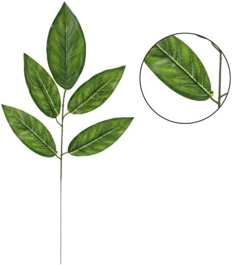 Zestaw sztucznych gałązek mango, 59 cm, zielone (12 szt.)