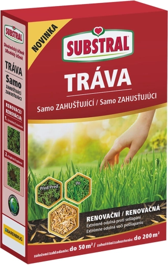 Samozagęszczająca regeneracyjna mieszanka trawnikowa EVERGREEN 1 kg