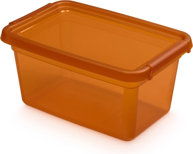 Basestore pojemnik do przechowywania z pokrywą i klipsami 4,5 l amber