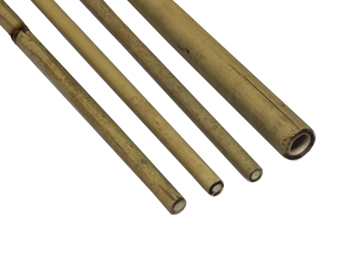 Tyczki bambusowe 90 cm, średnica 12–14 mm