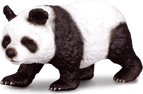 Duża panda