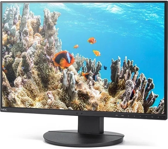 Monitor 24,1" NEC MultiSync EA242W czarny