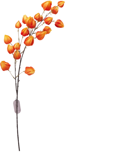 Syntetyczna dekoracyjna gałązka kremowa 97 cm