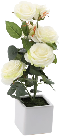 Sztuczna biała róża w doniczce 44 cm