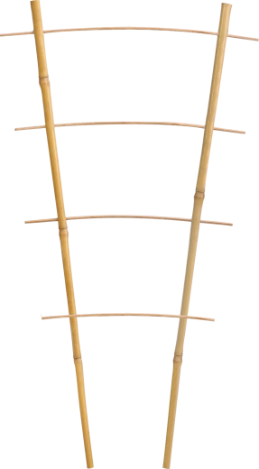 Bambusowa podwójna podpora dla pnączy 43 cm