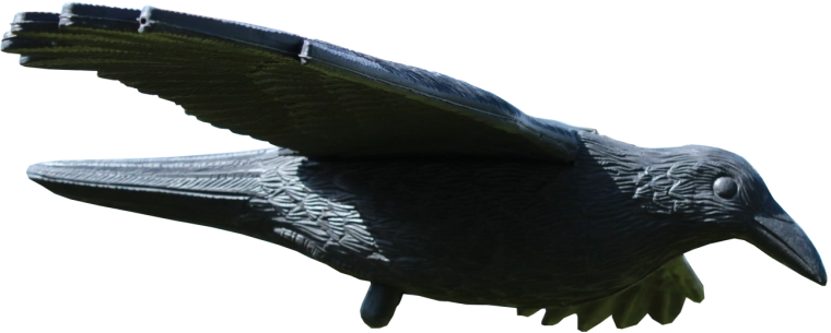 Odstraszacz ptaków kruk 80 × 44 × 12 cm