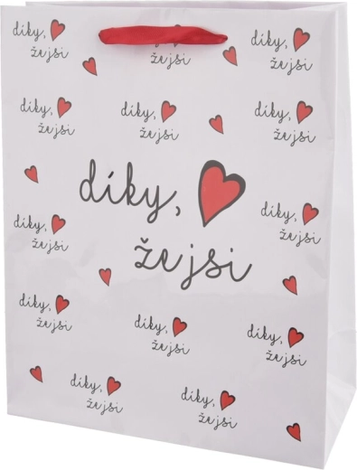 Papierowa torba prezentowa Dzięki, że jesteś 26 × 10 × 32 cm
