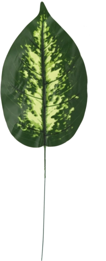 Zestaw sztucznych gałązek difenbachii, 12 szt.