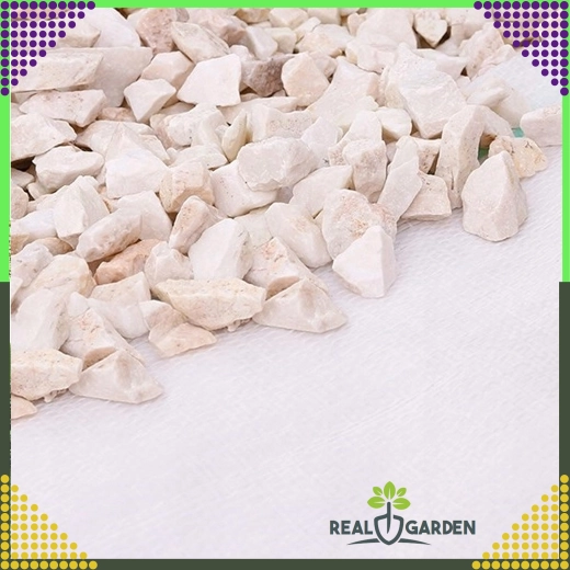 Biała agrotkanina 70 g/m² 1,6 × 100 m przeciw chwastom + kotwy UV