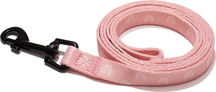 Smycz dla psów Explorer Dog Tęcza S 120 × 1,5 cm