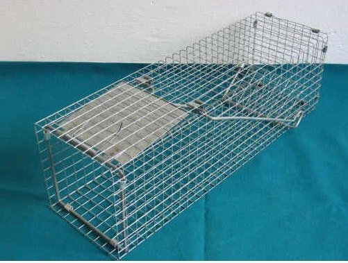 Pułapka z ocynkowanej stali 140 × 140 × 480 mm