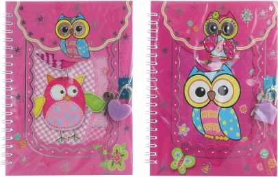 Notatnik na kluczyk sowy