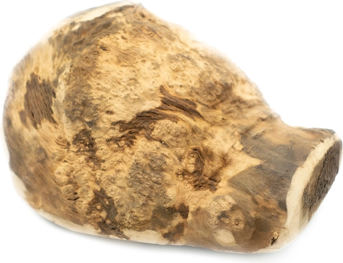 Explorer Dog naturalny korzeń wrzosu do żucia dla psów XL