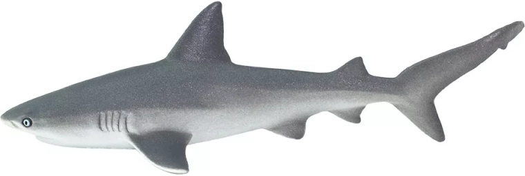 Safari Ltd. Rekin hiszpański (rafowy) - 1 sztuka