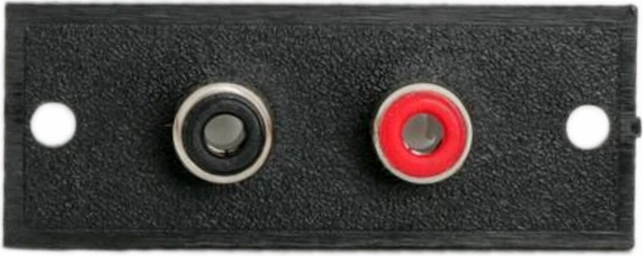 Wbudowany terminal RCA z 2 gniazdami