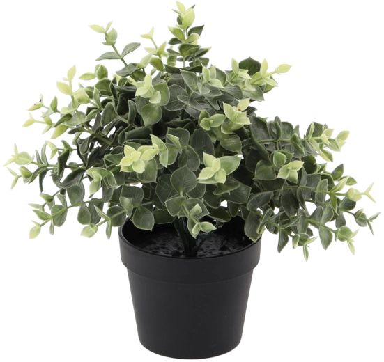 Sztuczny eukaliptus w doniczce 22 cm