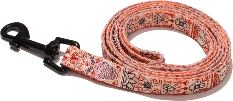 Smycz Explorer dog Serce rozmiar S (120 × 1,5 cm)
