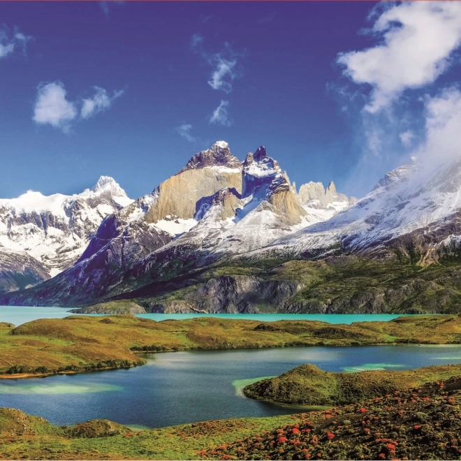Puzzle Educa Torres del Paine, Patagonii 1000 elementów