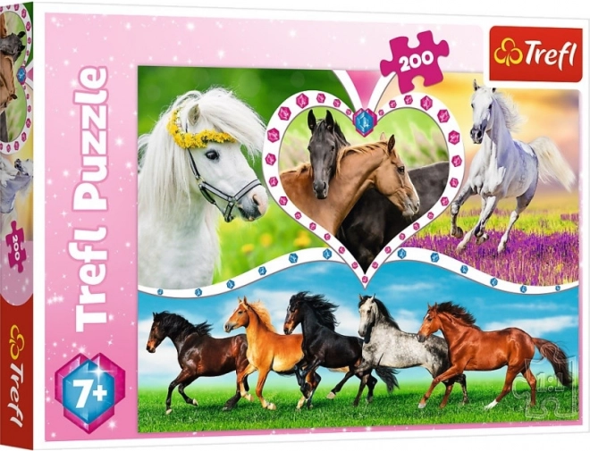 Puzzle 200 elementów piękne konie TREFL