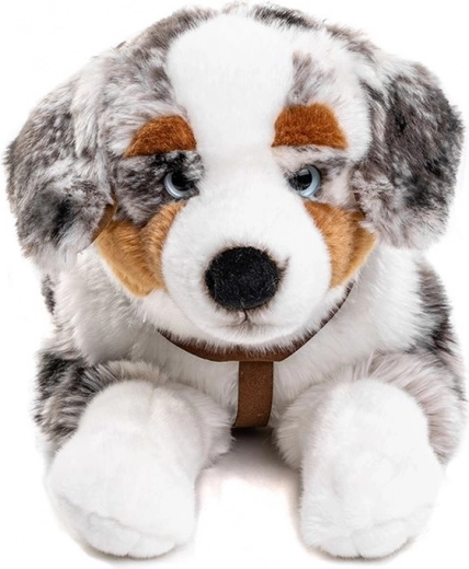 Szelki dla większej frajdy