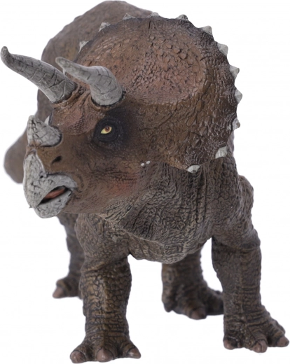 Idealna dla wszystkich grup wiekowych