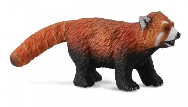 Panda Czerwona