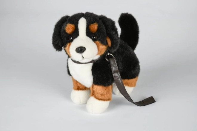 Pluszowy Berneński Pies Pasterski z smyczą 26 cm