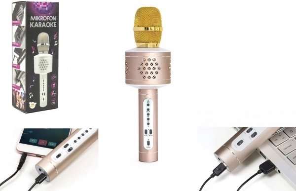 Karaoke mikrofon Bluetooth z nagłośnieniem i efektem echo – Złota