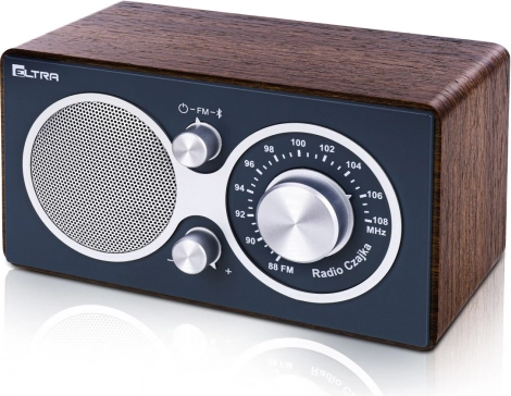 radio CZAJKA bluetooth, szare drewno