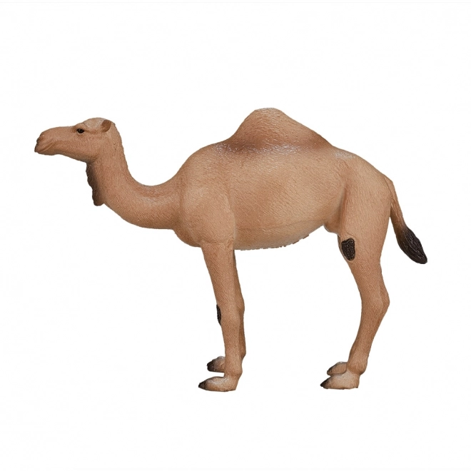 Mojo Animal Planet Wielbłąd jednogarbny