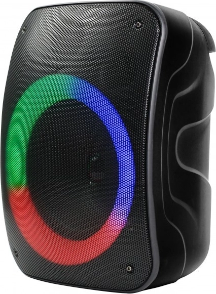 Głośnik Bluetooth Stage 300