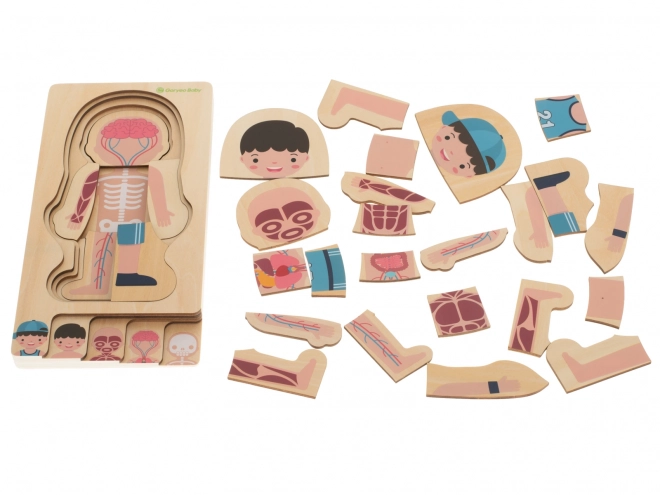 Drewniane warstwowe puzzle ludzkie ciało Montessori