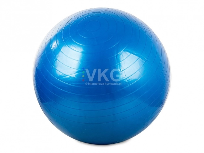 Piłka gimnastyczna Fitness 65 cm z pompką
