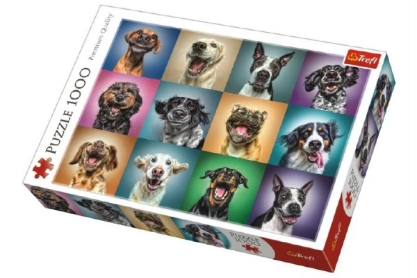 Puzzle zabawne psie portrety – 1000 elementów