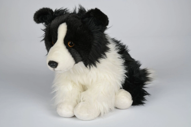 Pluszowy Border collie 35 cm