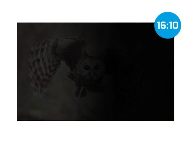 Filtr ochrony danych osobowych Natec Owl 16 cali 16:10