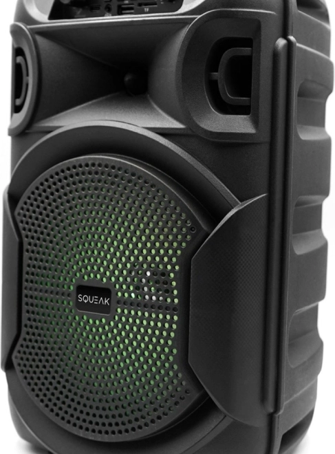 Głośnik Bluetooth Squeak PulseTower z karaoke, 1000 W